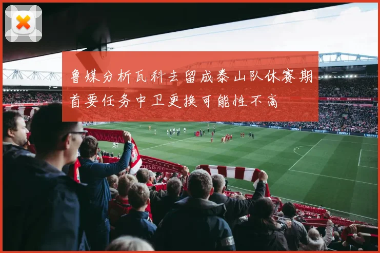 鲁媒分析瓦科去留成泰山队休赛期首要任务中卫更换可能性不高