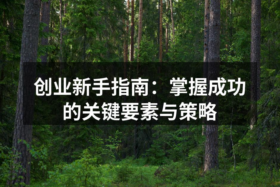 创业新手指南：掌握成功的关键要素与策略