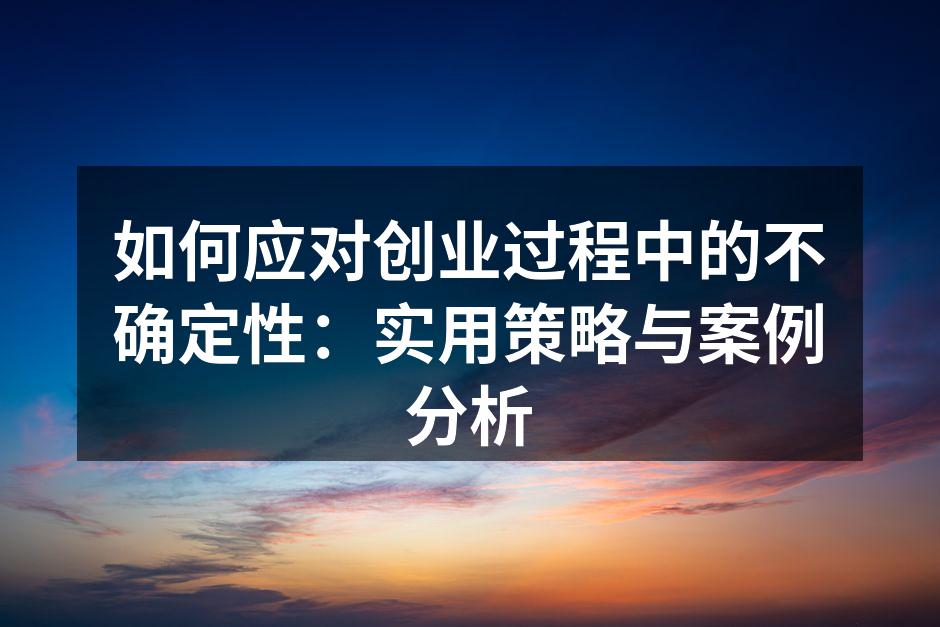 如何应对创业过程中的不确定性：实用策略与案例分析