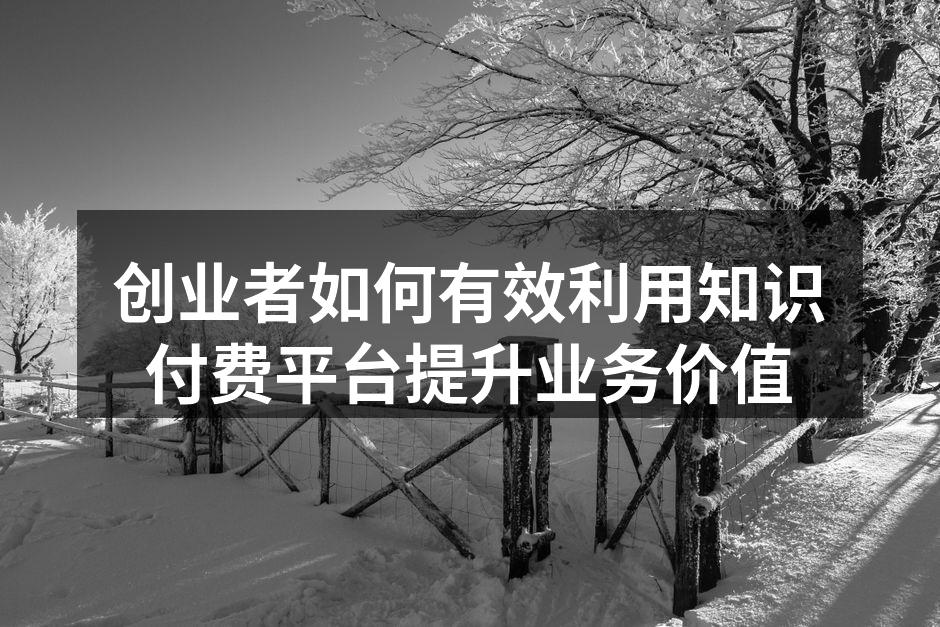 创业者如何有效利用知识付费平台提升业务价值